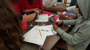 Broward Estates-STEM15